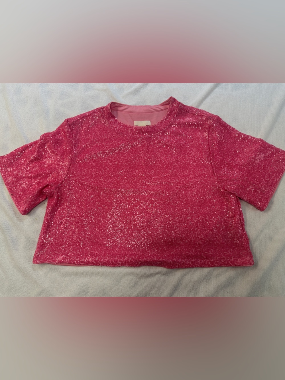 H&M Bright Pink Short Sleeve Sequin Top